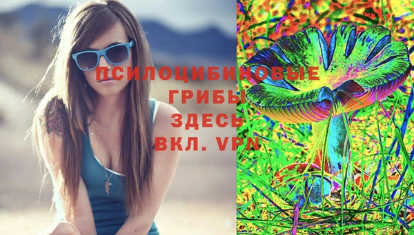 spice Алзамай
