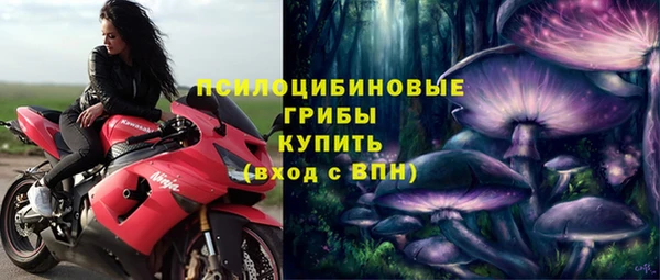 spice Алзамай