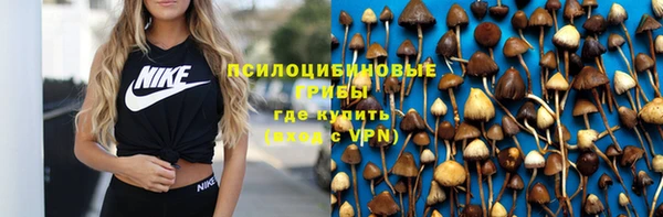spice Алзамай