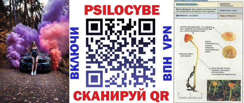 Галлюциногенные грибы Psilocybe  цены наркотик  Ефремов 